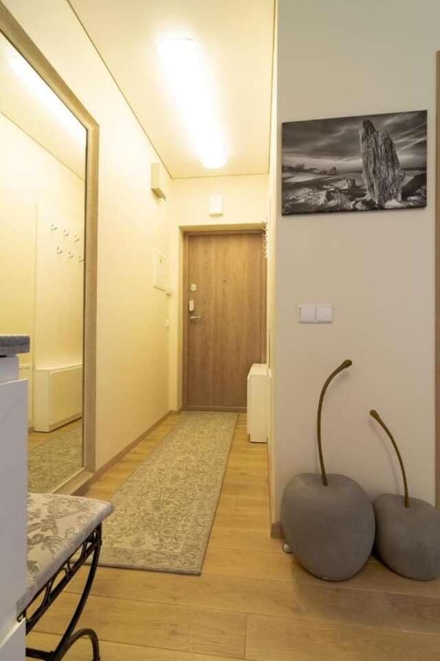 Апартаменты Magic Pines Apartment Паланга-12